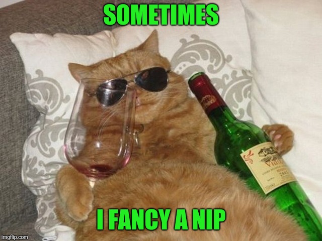 Kool Kitty | SOMETIMES; I FANCY A NIP | image tagged in kool kitty | made w/ Imgflip meme maker