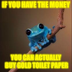 No, seriously | IF YOU HAVE THE MONEY; YOU CAN ACTUALLY BUY GOLD TOILET PAPER | image tagged in small fact frog,fun fact frog,waste of money,toilet paper,gold,fun fact | made w/ Imgflip meme maker