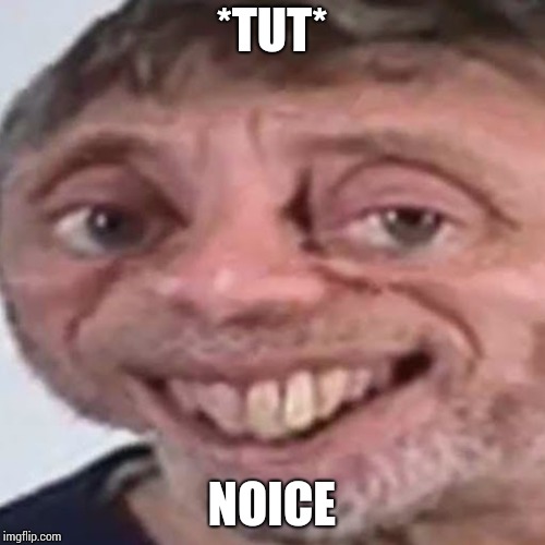 Noice | *TUT* NOICE | image tagged in noice | made w/ Imgflip meme maker