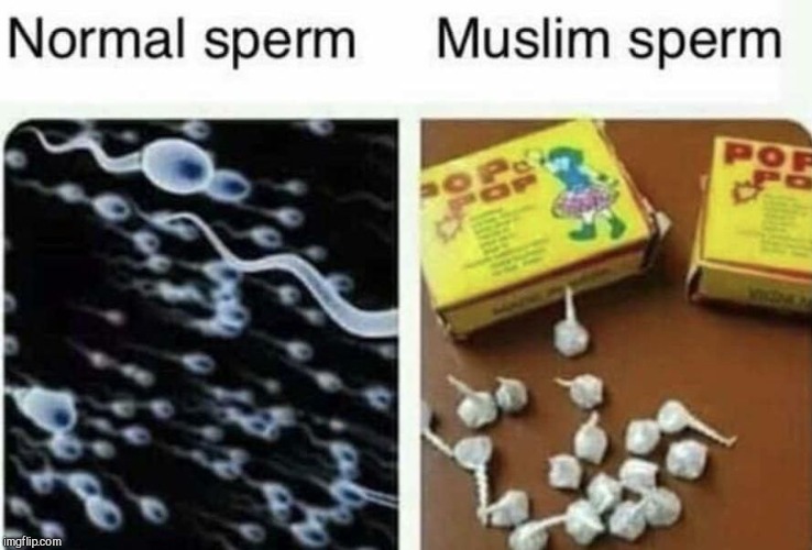 image tagged in muslim sperm vs infidel sperm | made w/ Imgflip meme maker