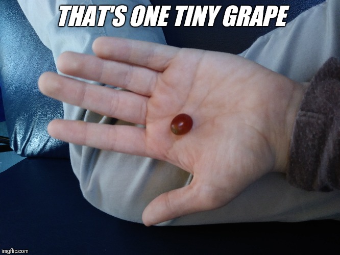 Tiny Grape | THAT'S ONE TINY GRAPE | image tagged in grape,grapes,tiny,memes | made w/ Imgflip meme maker