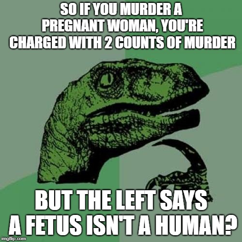 thinkaboutit | SO IF YOU MURDER A PREGNANT WOMAN, YOU'RE CHARGED WITH 2 COUNTS OF MURDER; BUT THE LEFT SAYS A FETUS ISN'T A HUMAN? | image tagged in memes,philosoraptor,murder,left,abortion | made w/ Imgflip meme maker