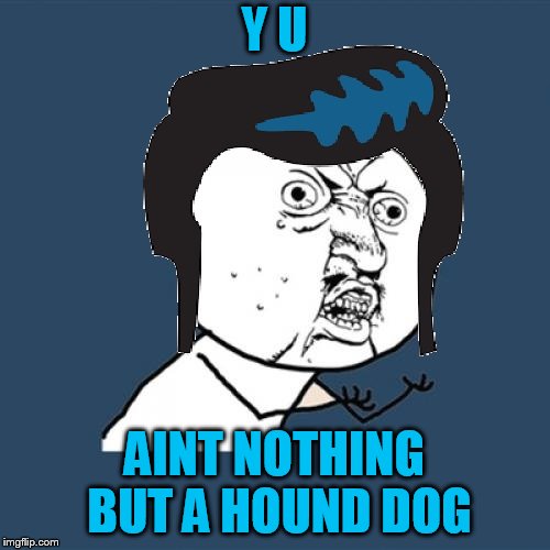Y U NO ELVIS | Y U AINT NOTHING BUT A HOUND DOG | image tagged in y u no elvis | made w/ Imgflip meme maker