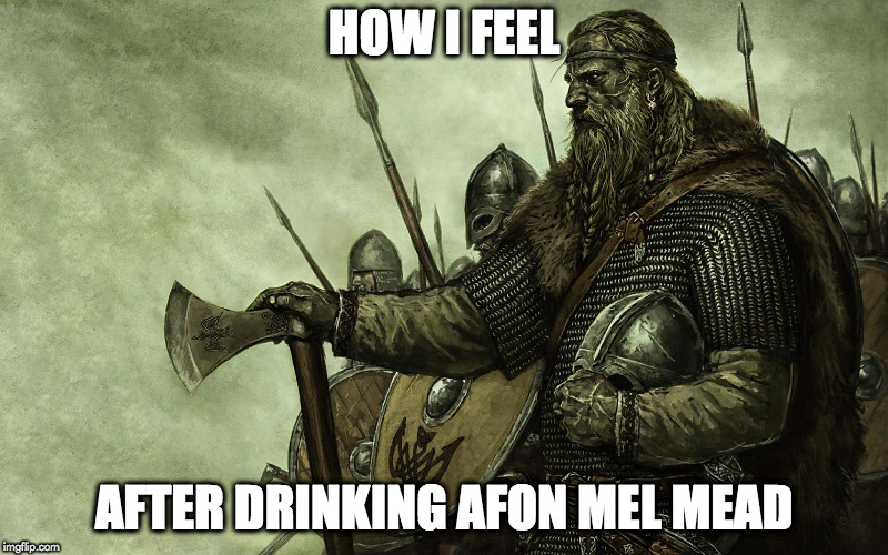 Viking | HOW I FEEL; AFTER DRINKING AFON MEL MEAD | image tagged in viking | made w/ Imgflip meme maker