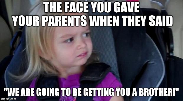 Funny Meme | THE FACE YOU GAVE YOUR PARENTS WHEN THEY SAID; "WE ARE GOING TO BE GETTING YOU A BROTHER!" | image tagged in funny meme | made w/ Imgflip meme maker