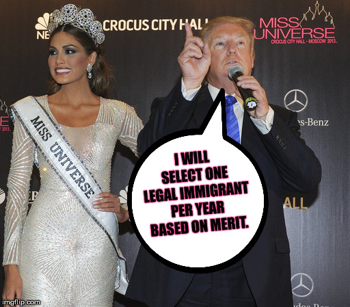 I WILL SELECT ONE LEGAL IMMIGRANT PER YEAR BASED ON MERIT. | made w/ Imgflip meme maker