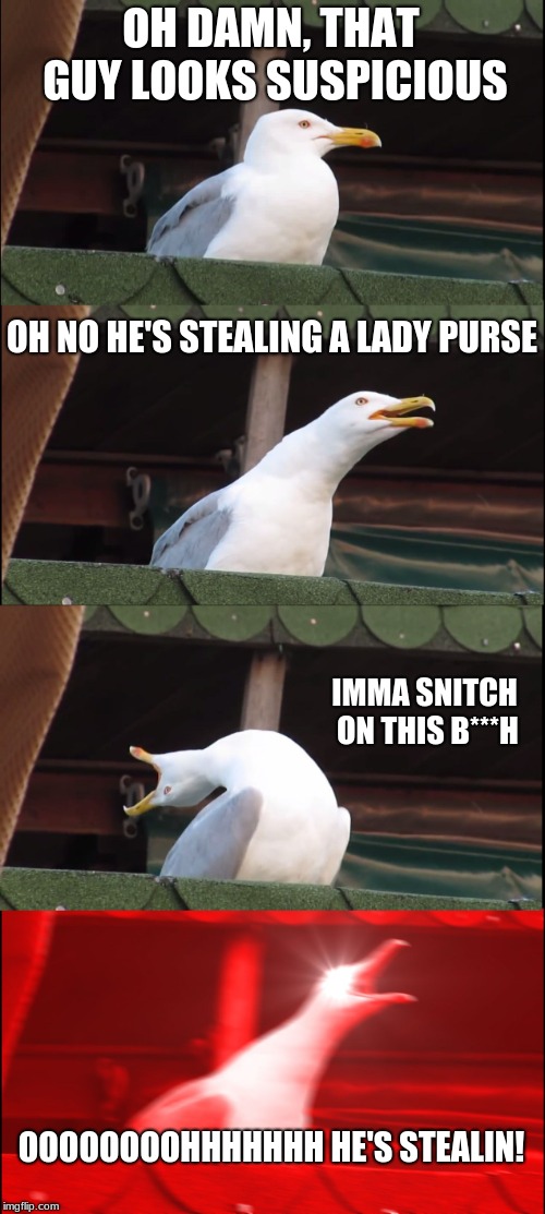 Inhaling Seagull | OH DAMN, THAT GUY LOOKS SUSPICIOUS; OH NO HE'S STEALING A LADY PURSE; IMMA SNITCH ON THIS B***H; OOOOOOOOHHHHHHH HE'S STEALIN! | image tagged in memes,inhaling seagull | made w/ Imgflip meme maker