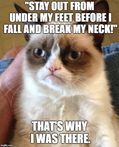 Do you ever wonder if that was their intention in the first place? | "STAY OUT FROM UNDER MY FEET BEFORE I FALL AND BREAK MY NECK!"; THAT'S WHY I WAS THERE. | image tagged in memes,grumpy cat,breaking necks and taking names | made w/ Imgflip meme maker