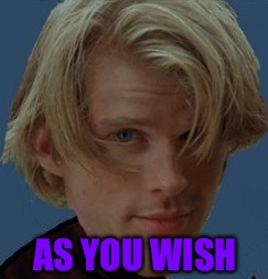 AS YOU WISH | made w/ Imgflip meme maker