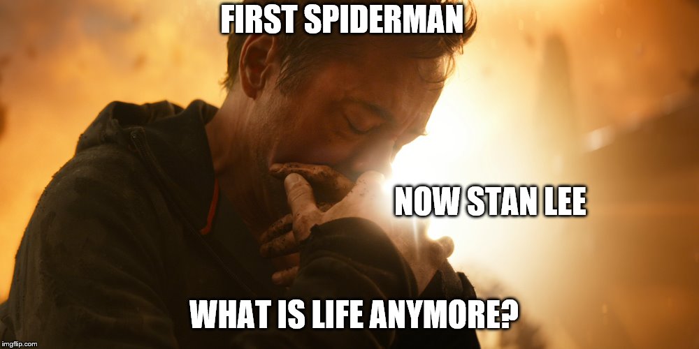 FIRST SPIDERMAN NOW STAN LEE WHAT IS LIFE ANYMORE? | made w/ Imgflip meme maker