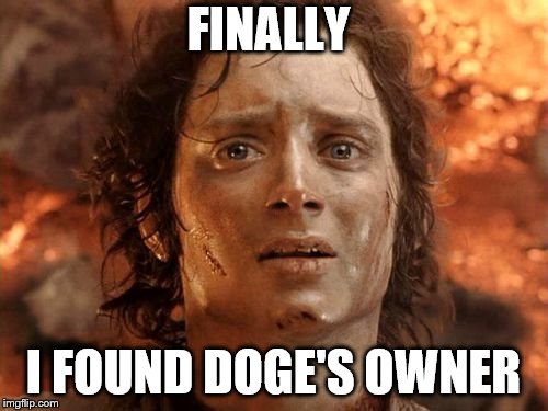 It's Finally Over Meme | FINALLY I FOUND DOGE'S OWNER | image tagged in memes,its finally over | made w/ Imgflip meme maker
