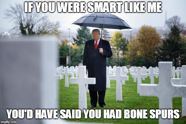 IF YOU WERE SMART LIKE ME; YOU'D HAVE SAID YOU HAD BONE SPURS | image tagged in coward,donald trump,disgrace | made w/ Imgflip meme maker