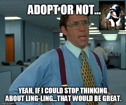 That Would Be Great | ADOPT OR NOT... YEAH, IF I COULD STOP THINKING ABOUT LING-LING...THAT WOULD BE GREAT. | image tagged in memes,that would be great | made w/ Imgflip meme maker