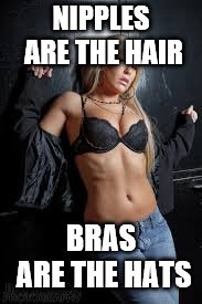 Blonde sexy hot gf | NIPPLES ARE THE HAIR BRAS ARE THE HATS | image tagged in blonde sexy hot gf | made w/ Imgflip meme maker
