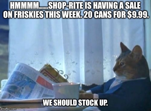 I Should Buy A Boat Cat Meme | HMMMM......SHOP-RITE IS HAVING A SALE ON FRISKIES THIS WEEK. 20 CANS FOR $9.99. WE SHOULD STOCK UP. | image tagged in memes,i should buy a boat cat | made w/ Imgflip meme maker