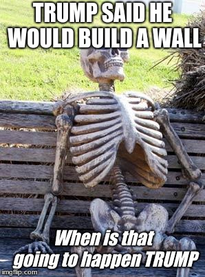 Waiting Skeleton Meme | TRUMP SAID HE WOULD BUILD A WALL; When is that going to happen TRUMP | image tagged in memes,waiting skeleton | made w/ Imgflip meme maker
