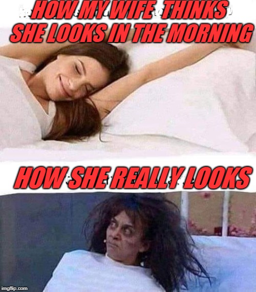 reality bites | HOW MY WIFE  THINKS SHE LOOKS IN THE MORNING; HOW SHE REALLY LOOKS | image tagged in sleep | made w/ Imgflip meme maker