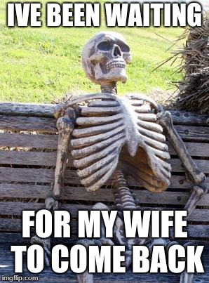 Waiting Skeleton | IVE BEEN WAITING; FOR MY WIFE TO COME BACK | image tagged in memes,waiting skeleton | made w/ Imgflip meme maker