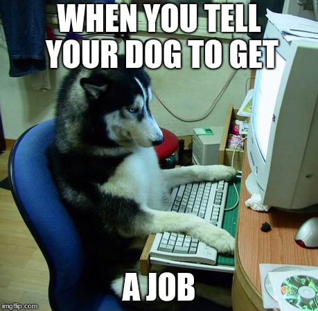 I Have No Idea What I Am Doing | WHEN YOU TELL YOUR DOG TO GET; A JOB | image tagged in memes,i have no idea what i am doing | made w/ Imgflip meme maker