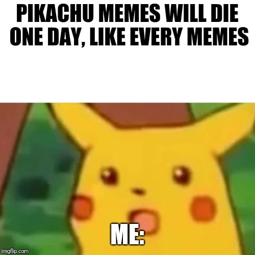 Surprised Pikachu | PIKACHU MEMES WILL DIE ONE DAY, LIKE EVERY MEMES; ME: | image tagged in memes,surprised pikachu | made w/ Imgflip meme maker