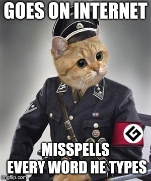 Grammar Nazi Cat | GOES ON INTERNET; MISSPELLS EVERY WORD HE TYPES | image tagged in grammar nazi cat | made w/ Imgflip meme maker