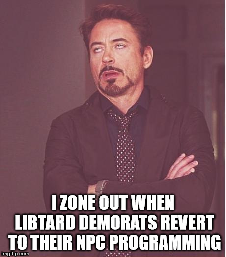 Face You Make Robert Downey Jr Meme | I ZONE OUT WHEN LIBTARD DEMORATS REVERT TO THEIR NPC PROGRAMMING | image tagged in memes,face you make robert downey jr | made w/ Imgflip meme maker
