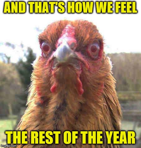 revenge chicken | AND THAT'S HOW WE FEEL THE REST OF THE YEAR | image tagged in revenge chicken | made w/ Imgflip meme maker