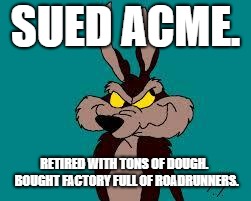 Wiley C. Coyote Idea | SUED ACME. RETIRED WITH TONS OF DOUGH.  BOUGHT FACTORY FULL OF ROADRUNNERS. | image tagged in wiley c coyote idea | made w/ Imgflip meme maker