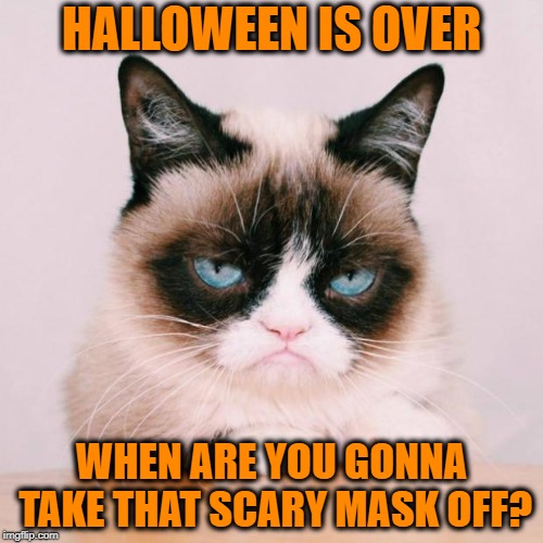 grumpy cat again | HALLOWEEN IS OVER; WHEN ARE YOU GONNA TAKE THAT SCARY MASK OFF? | image tagged in grumpy cat again,funny memes,halloween costume,cat | made w/ Imgflip meme maker