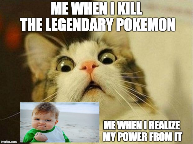 Scared Cat | ME WHEN I KILL THE LEGENDARY POKEMON; ME WHEN I REALIZE MY POWER FROM IT | image tagged in memes,scared cat | made w/ Imgflip meme maker