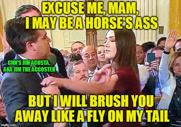 Unleashed | EXCUSE ME, MAM, I MAY BE A HORSE'S ASS; CNN'S JIM ACOSTA, AKA JIM THE ACCOSTER; BUT I WILL BRUSH YOU AWAY LIKE A FLY ON MY TAIL | image tagged in jim acosta,cnn,white house | made w/ Imgflip meme maker