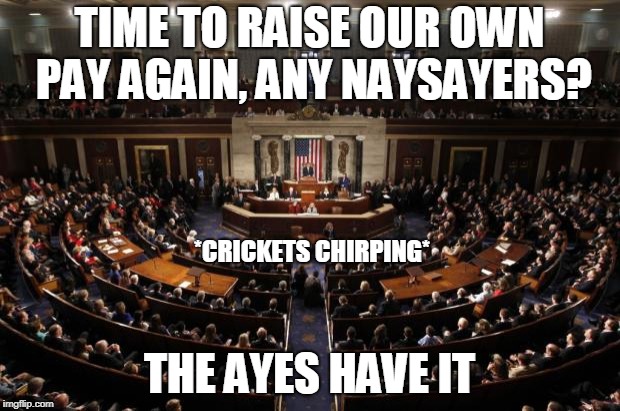 congress | TIME TO RAISE OUR OWN PAY AGAIN, ANY NAYSAYERS? *CRICKETS CHIRPING*; THE AYES HAVE IT | image tagged in congress | made w/ Imgflip meme maker