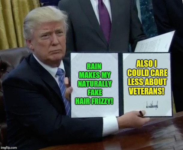 Reasons i couldn't attend veteran's day stuff!  | RAIN MAKES MY NATURALLY FAKE HAIR FRIZZY! ALSO I COULD CARE LESS ABOUT VETERANS! | image tagged in memes,trump bill signing,donald trump,veterans day,republicans,kkk whispering | made w/ Imgflip meme maker
