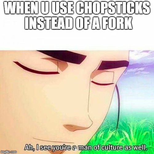 Ah,I see you are a man of culture as well | WHEN U USE CHOPSTICKS INSTEAD OF A FORK | image tagged in ah i see you are a man of culture as well | made w/ Imgflip meme maker