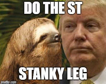 Political advice sloth | DO THE ST STANKY LEG | image tagged in political advice sloth | made w/ Imgflip meme maker
