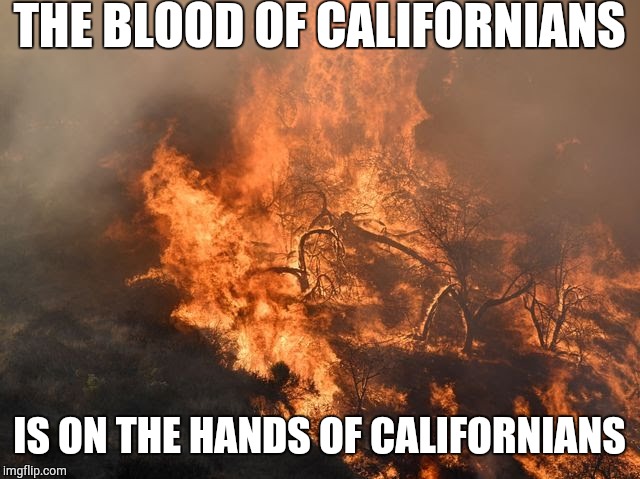 Sorry, not sorry | THE BLOOD OF CALIFORNIANS; IS ON THE HANDS OF CALIFORNIANS | image tagged in liberals,liberal logic,california | made w/ Imgflip meme maker