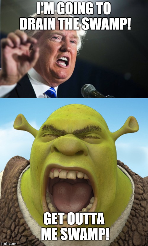 I'M GOING TO DRAIN THE SWAMP! GET OUTTA ME SWAMP! | image tagged in donald trump,shrek | made w/ Imgflip meme maker