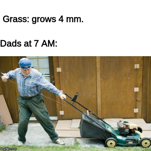 dads... | Dads at 7 AM:; Grass: grows 4 mm. | image tagged in lol | made w/ Imgflip meme maker