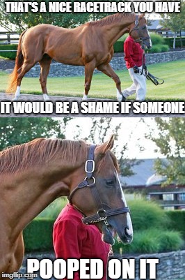 I still love California Crome | THAT'S A NICE RACETRACK YOU HAVE; IT WOULD BE A SHAME IF SOMEONE; POOPED ON IT | image tagged in california,racing,memes,funny,horse,shame | made w/ Imgflip meme maker
