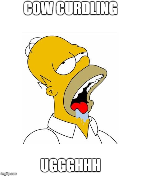 Homer Simpson Drooling | COW CURDLING; UGGGHHH | image tagged in homer simpson drooling | made w/ Imgflip meme maker