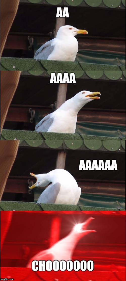 Inhaling Seagull | AA; AAAA; AAAAAA; CHOOOOOOO | image tagged in memes,inhaling seagull | made w/ Imgflip meme maker