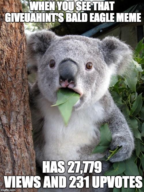 Surprised Koala Meme | WHEN YOU SEE THAT GIVEUAHINT'S BALD EAGLE MEME; HAS 27,779 VIEWS AND 231 UPVOTES | image tagged in memes,surprised koala | made w/ Imgflip meme maker