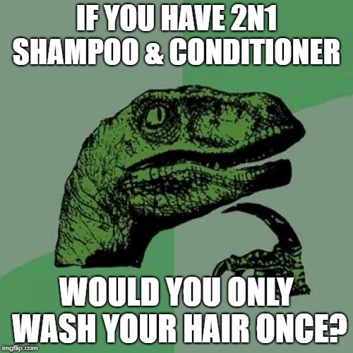 Philosoraptor Meme | IF YOU HAVE 2N1 SHAMPOO & CONDITIONER; WOULD YOU ONLY WASH YOUR HAIR ONCE? | image tagged in memes,philosoraptor | made w/ Imgflip meme maker