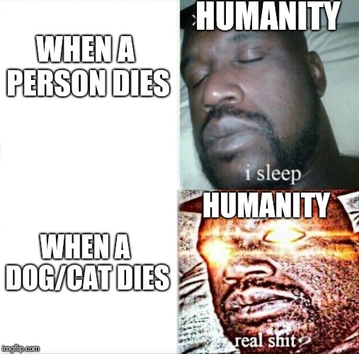Sleeping Shaq | HUMANITY; WHEN A PERSON DIES; HUMANITY; WHEN A DOG/CAT DIES | image tagged in memes,sleeping shaq,dog,cat,humanity,shaq | made w/ Imgflip meme maker