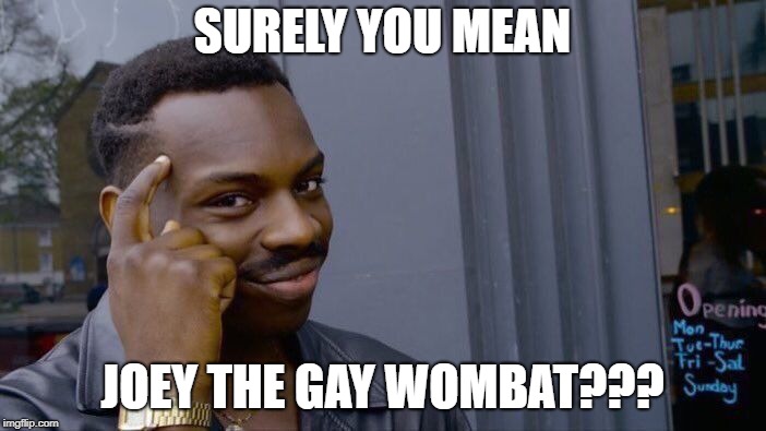 Roll Safe Think About It Meme | SURELY YOU MEAN JOEY THE GAY WOMBAT??? | image tagged in memes,roll safe think about it | made w/ Imgflip meme maker