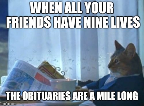 I Should Buy A Boat Cat | WHEN ALL YOUR FRIENDS HAVE NINE LIVES; THE OBITUARIES ARE A MILE LONG | image tagged in memes,i should buy a boat cat | made w/ Imgflip meme maker