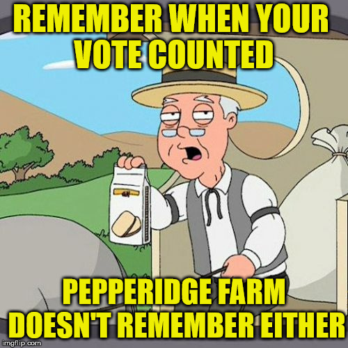 Pepperidge Farm Doesn't Remember | REMEMBER WHEN YOUR        VOTE COUNTED; PEPPERIDGE FARM DOESN'T REMEMBER EITHER | image tagged in memes,pepperidge farm remembers,vote,florida | made w/ Imgflip meme maker