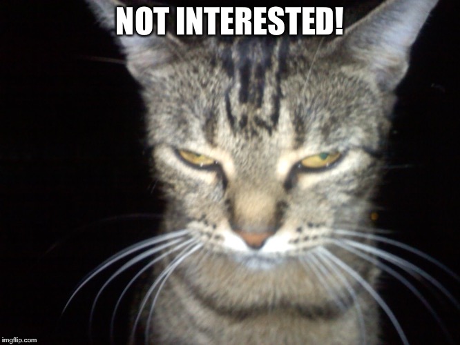 Not interested! | NOT INTERESTED! | image tagged in angry tabby cat,funny,memes,tabby cat,cat | made w/ Imgflip meme maker