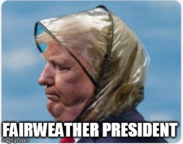 FAIRWEATHER PRESIDENT | image tagged in badhairday,trumphair,trumpveterans | made w/ Imgflip meme maker