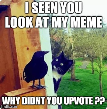 WASSUP  | I SEEN YOU LOOK AT MY MEME; WHY DIDN'T YOU UPVOTE ?? | image tagged in wassup | made w/ Imgflip meme maker